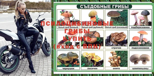 прущие крисы Баксан